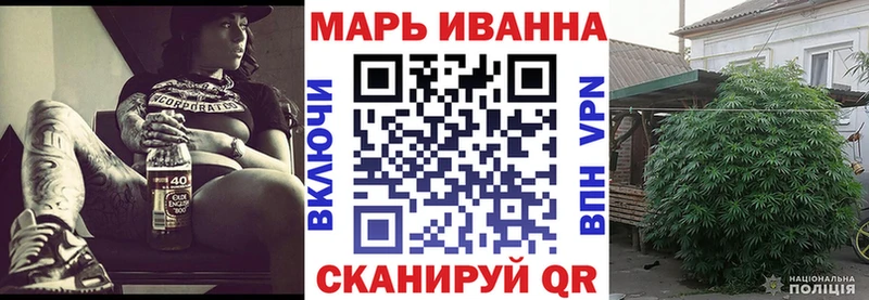 Шишки марихуана конопля  omg зеркало  Волхов 